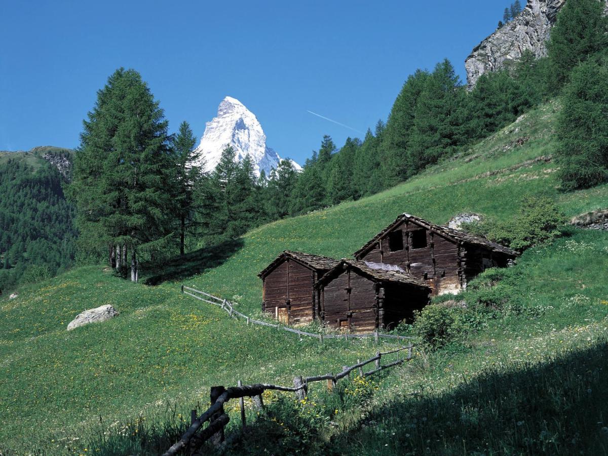 Apartment Zur Matte B-1 By Interhome Zermatt Eksteriør billede